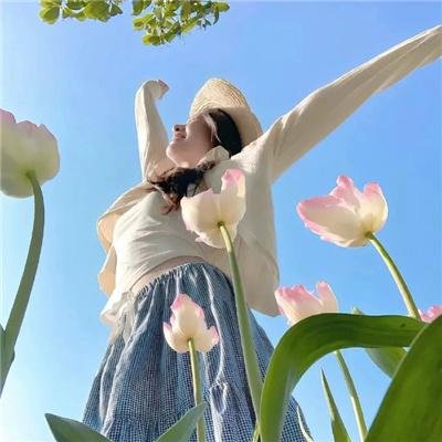 独活女子的推荐 第五季