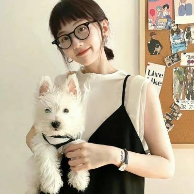 哈莉·奎茵第四季